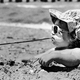 Illustration for article titled Innovative Stylish Ways to Protect Your Face and Eyes From UV Rays This Summer